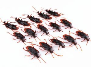 Cov khoom ua lag luam Wholesale Joke Toy Cockroach